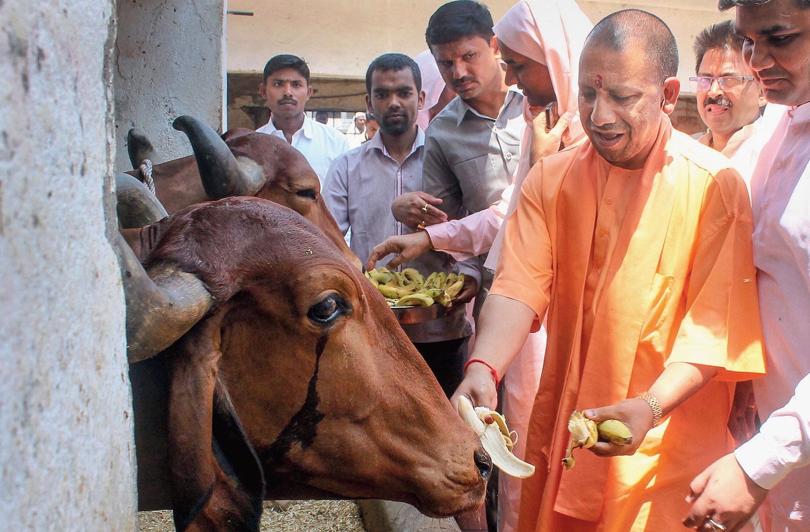 योगी आदित्यनाथ